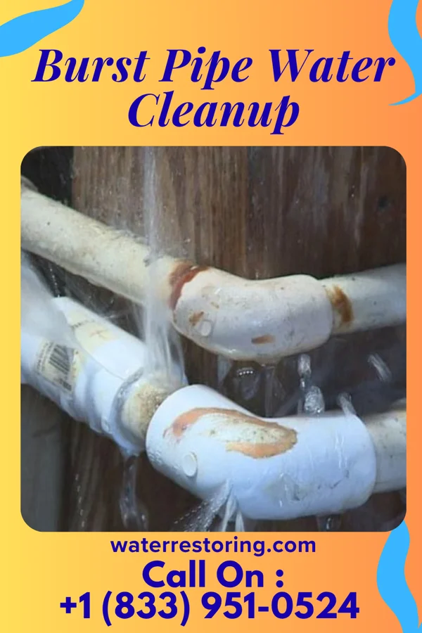 Burst Pipe Water Cleanup in Coupland, TX